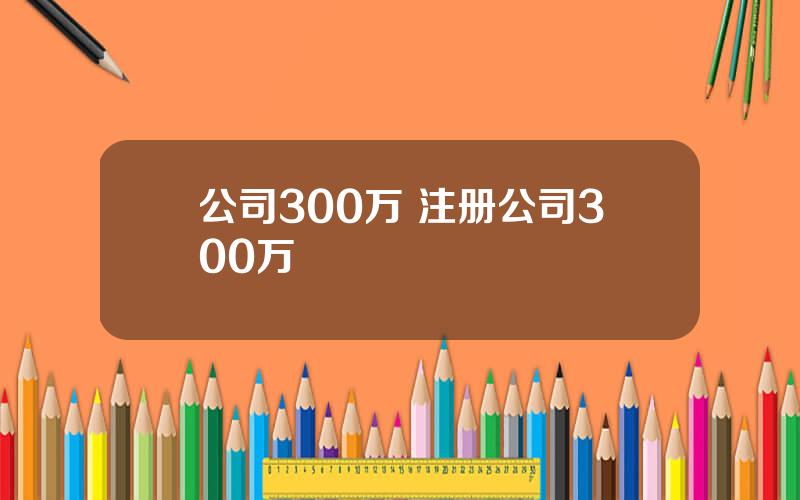 公司300万 注册公司300万